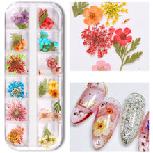 Load image into Gallery viewer, Mix Dried Flowers and 60g Clear Polygel Combo Set